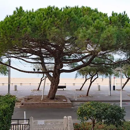 En 1ere Ligne Face A La Mer Apartment